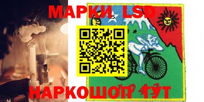 бошки Кимры