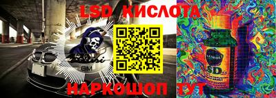 бошки Кимры