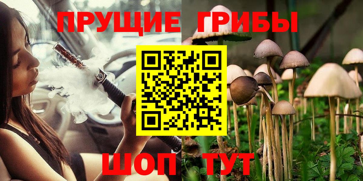 Псилоцибиновые грибы Psilocybine cubensis Губаха
